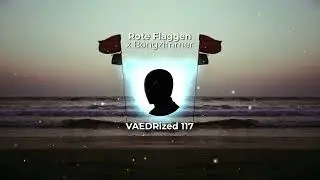 Rote Flaggen x Bongzimmer [VIRAL TIKTOK REMIX]