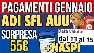 Pagamenti Gennaio: Assegno di Inclusione, Naspi, Lavorazioni SFL, AUU, 55&euro; e Nuovi Bonus 2026