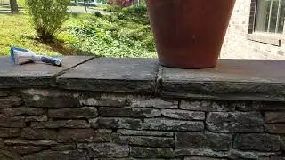 Remove/prevent moss, mildew,  & lichen formations from masonry walls