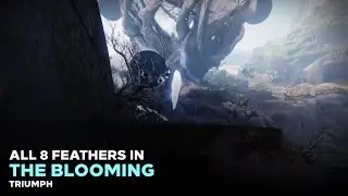All 8 Feathers in The Blooming (Triumph) [Destiny 2]
