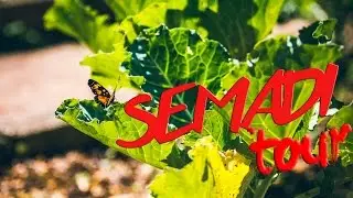 Semadi Tour - Conhe&ccedil;a a SEMADI