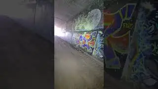 Graffiti Tunnel Hall Of Fame #shorts #graffiti #graffitiart #tunnel #wallart