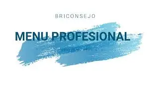 Menu Profesional del termostato Saunier Duval Exacontrol E7RC o E7C. Estimación de consumo y otros.