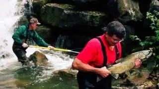 Owen Sound Salmon Tour