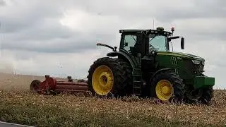 Mulching corn stalks with flail mower