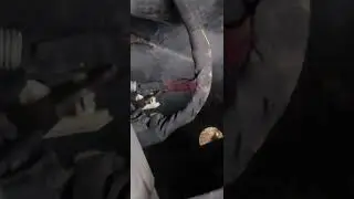 2018 Dodge charger electric power steering wire