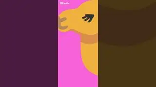 (El Arca /Noah/Ark 2007) Camel Groan 🐪🔊