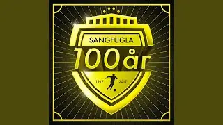 100 år