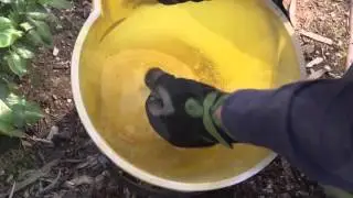 Water Wise Gardening