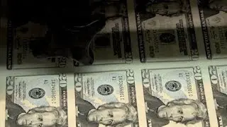 Federal Reserve, Not Free Market, Caused Crisis says 