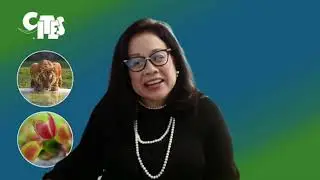 CITES Secretary-General Ivonne Higuero's message for UNEA5