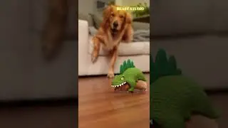 Dog vs Dinosaur Toy: Who Wins?! 🐶🦖 #shorts