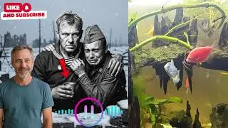 Бакенщик, Который Топил Немецкие Корабли В Темноте