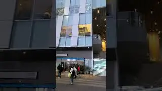 Новогодняя  Атмосфера в Токио, Япония / New Year Atmosphere in Tokyo, Japan #shorts
