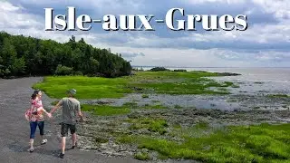Le MEILLEUR endroit pour des vacances ZEN ! (Isle-aux-Grues, Québec)