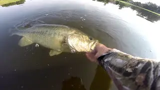 Bass fishing (6lber) fall fishing