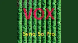 VOX Opening