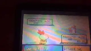 Poussifeu shiny evolue  galifeu shiny  &hearts;