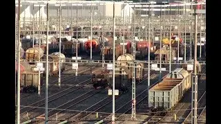 watching freight cars - time lapse trainfart