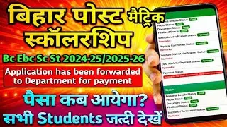 Bihar pms 2024-25 application has been forwarded to department for payment paisa kab ayega