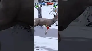 Gun game chikan Dinar 