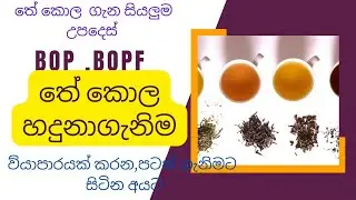 තේ කොල වර්ග හදුනාගැනිම#tea gread s#තේ කොල ව්‍යාපාරය,tea business ,ceylon tea #BOP,# BOPF