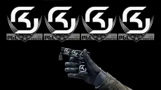 P250 | Metallic DDPAT (MW, SK Gaming Krakow Craft)