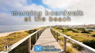 Scenic Virtual Coast Walk | 4K, 40min Ambient Nature Relaxation Film