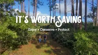It's Worth Saving - Pellicer Creek Conservation Area