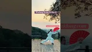 Wudang Kungfu fan
