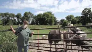 The Big O   Ostrich Meat in NYC