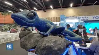 Vitrina Tur&iacute;stica reactiva exposiciones feriales en Bogot&aacute;