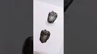 capsicum 🫑 still life painting using black ink#ink #drawing #capsicum