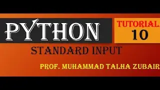 How to get input from user & input of multiple variables in single input function Tutorial 10
