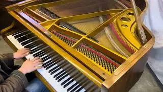 Danemann Baby Grand in Walnut Case. 