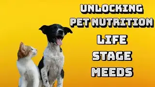 Unlocking Pet Nutrition: Life Stage Needs