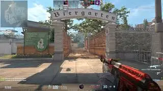 2v4 clutch overpass