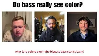 Do Bass See Lure Color? - Science Behind Largemouth Vision