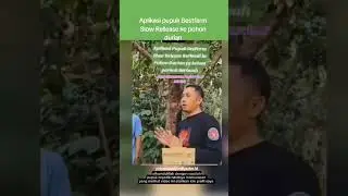 Aplikasi pupuk best farm slow release 08232066382014