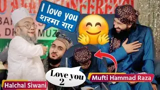 🤣 I Love You Mufti Hammad Raza | Halchal Siwani Nizamat - funny Video Halchal Siwani