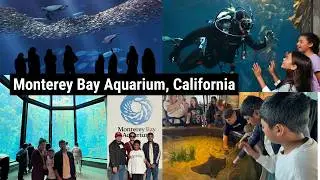 Athouba haraonaba || Visit Monterey Bay Aquarium , California