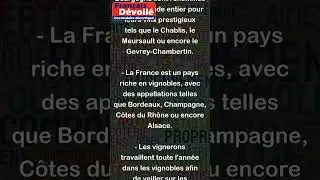 Vignoble