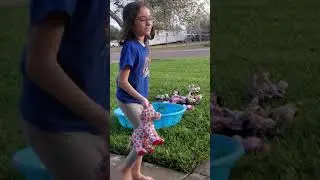 webkinz pool party