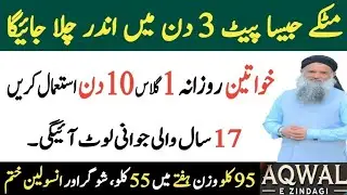 Heart-Touching Rumi Wisdom | Inspirational Quotes About Life | Urdu Motivation
