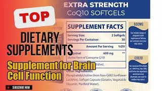 Top 3 Dietary Supplements about Supplement for Brain Cell Function Best-loved of 2024