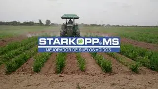 STARKOPP MS - MEJORADOR DE SUELOS ÁCIDOS