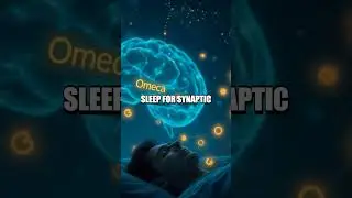 The Wonders of the Synaptic Network: Your Brain's Communication Highway