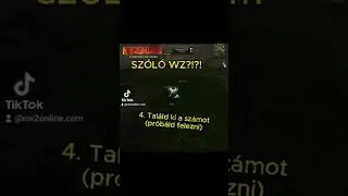 NW2Online Sz&oacute;l&oacute; Wu-Zhein run?!?! #nw2 #nw2online #reels #metin2 #hungary #run #wz #mmorpg #magyar