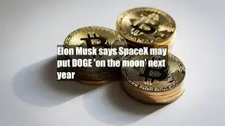 Elon Musk says SpaceX may put DOGE 'on the moon' next year