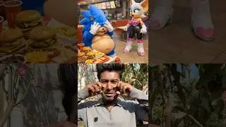 Rouge Made Fun of Sonic - Big Regret #funkopop#sonic #sonicmemes #fatsonic #glowup #dontbully#meme